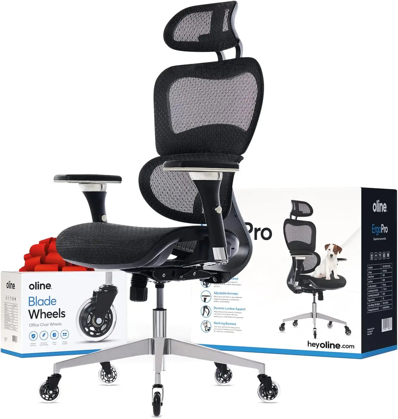 Ergonomic Office Chair With 4D Armrests and 3D Lumbar Support