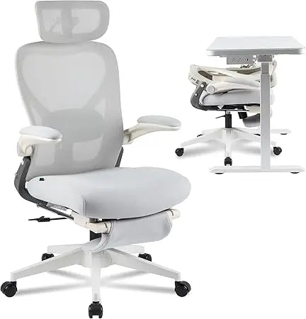 Foldex Ergonomic Office Chair With Lumbar Support Armrests