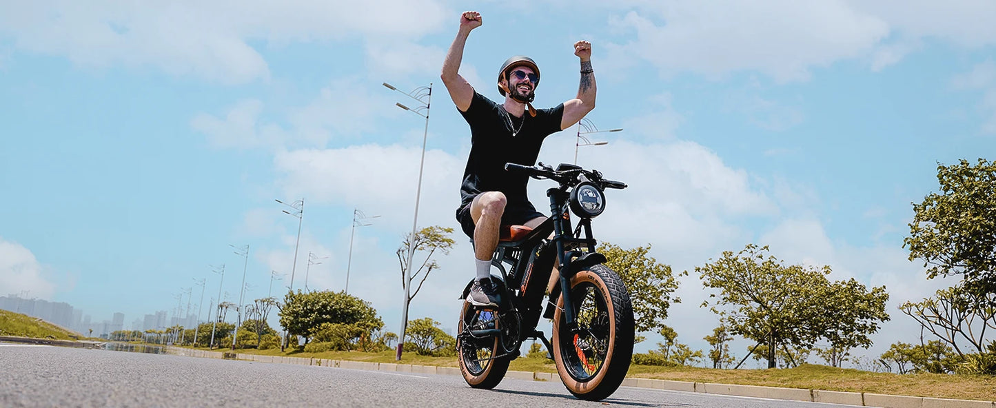 R6 900W Ebike Fat Tire Commuter Electric Mountain Bike