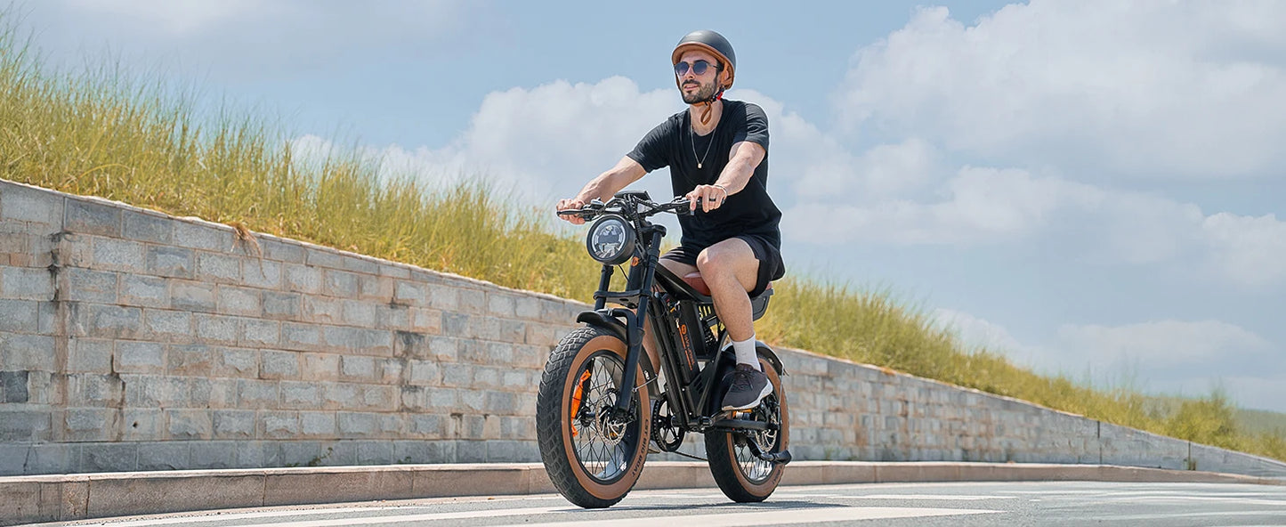 R6 900W Ebike Fat Tire Commuter Electric Mountain Bike
