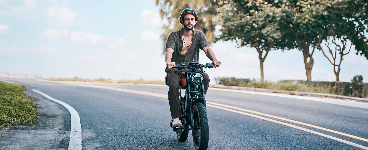 R6 900W Ebike Fat Tire Commuter Electric Mountain Bike
