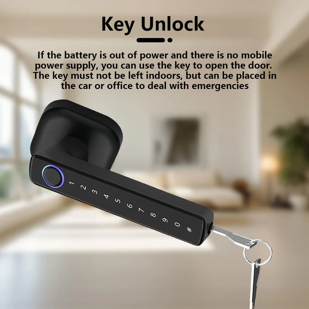 RAYKUBE M6 Tuya Bluetooth Fingerprint Door Lock With Keypad