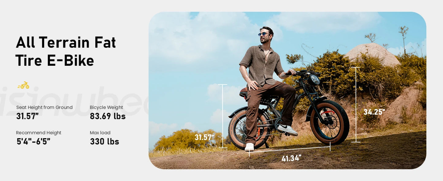 R6 900W Ebike Fat Tire Commuter Electric Mountain Bike