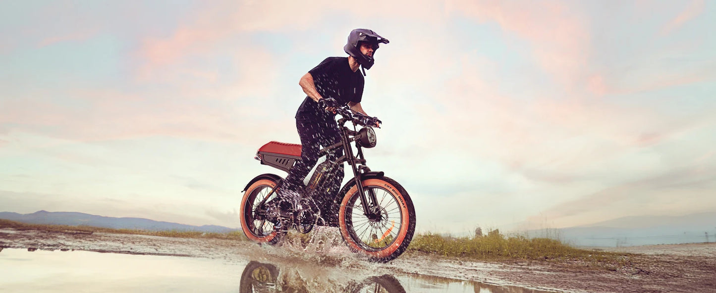 R6 900W Ebike Fat Tire Commuter Electric Mountain Bike