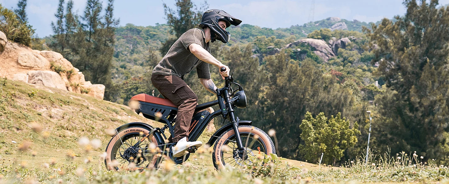 R6 900W Ebike Fat Tire Commuter Electric Mountain Bike