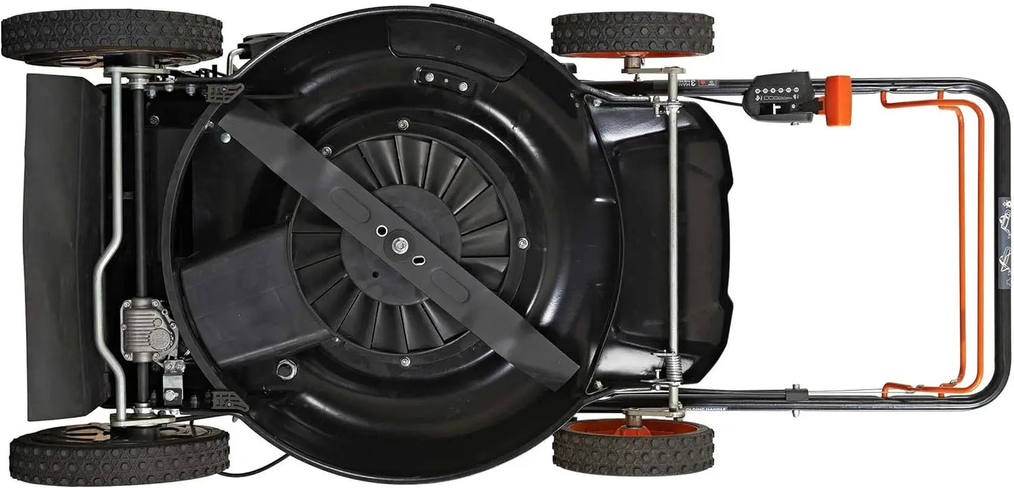 XMSJ Gas Lawn Mower Pace 201cc 6 Speed CVT High Wheel RWD