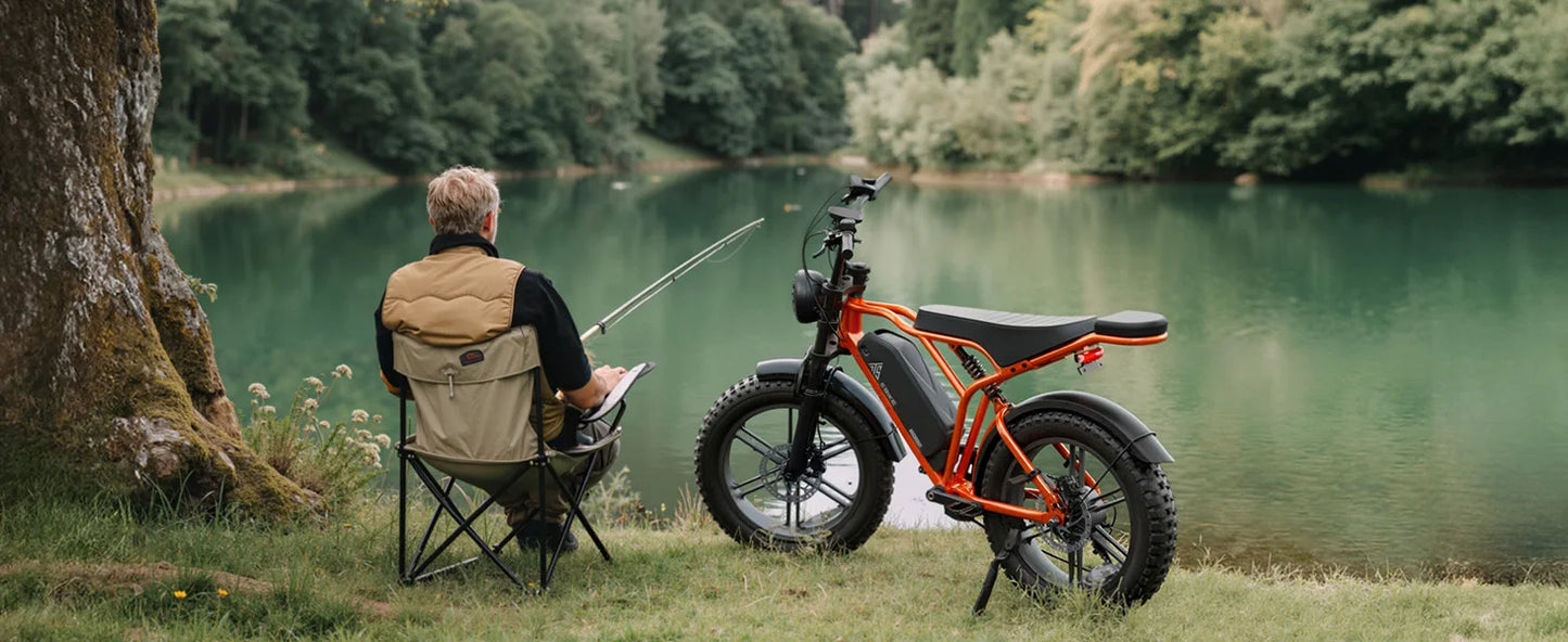 TST R002S 1500W Electric Fat Tire Bike All Terrain Cruiser