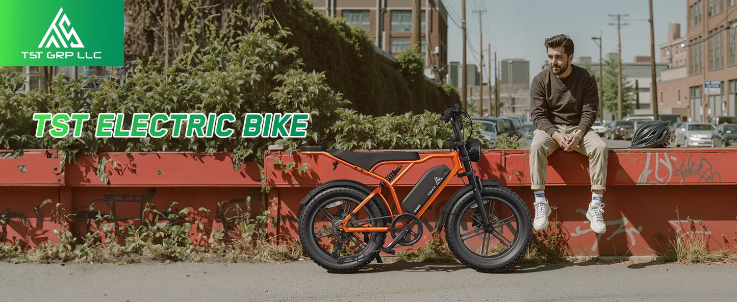 TST R002S 1500W Electric Fat Tire Bike All Terrain Cruiser