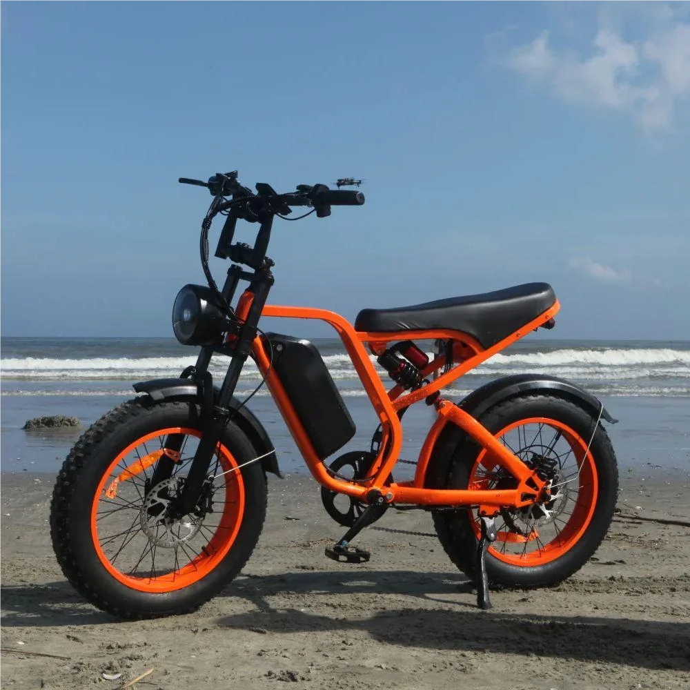 Moobelo B8 Electric Bike 1500W Motor 80 Miles Range