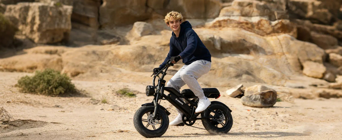 Eskute V100 Electric Bike 1500W Peak 28 MPH Dual Suspension