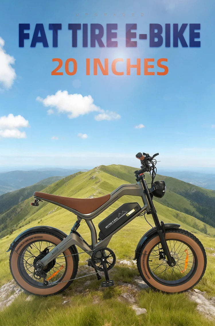 Electric Snowmobile 1000W 48V Lithium Battery Off Road