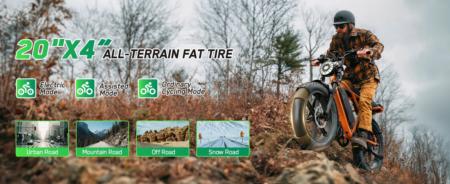 TST R002S 1500W Electric Fat Tire Bike All Terrain Cruiser