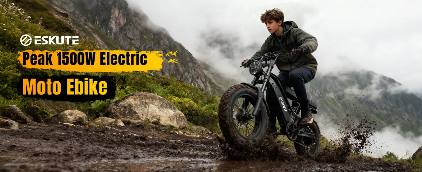 Eskute V100 Electric Bike 1500W Peak 28 MPH Dual Suspension
