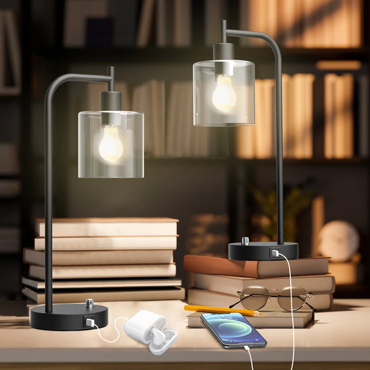 Hign-concerned Chemical Desk Lamp With USB Ports Set of 2