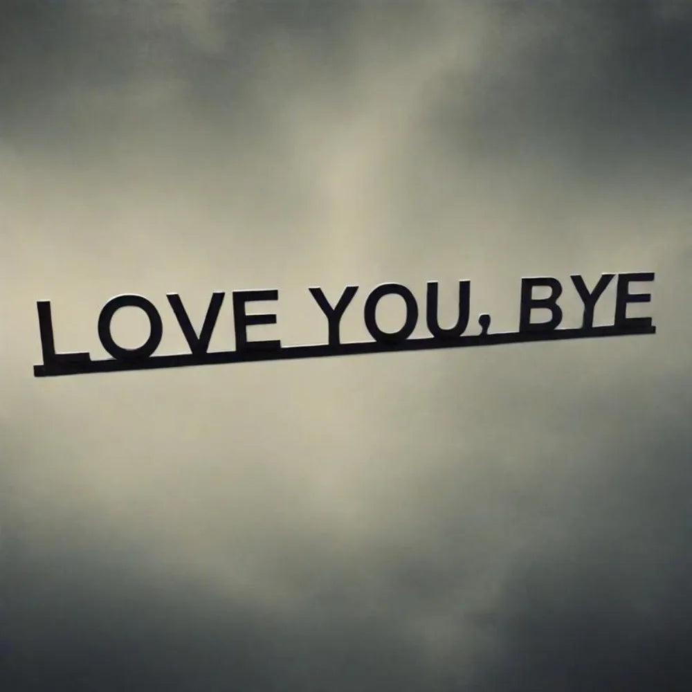 HELLOYOUNG Geometric Aluminum Wall Art Love You Bye Sign