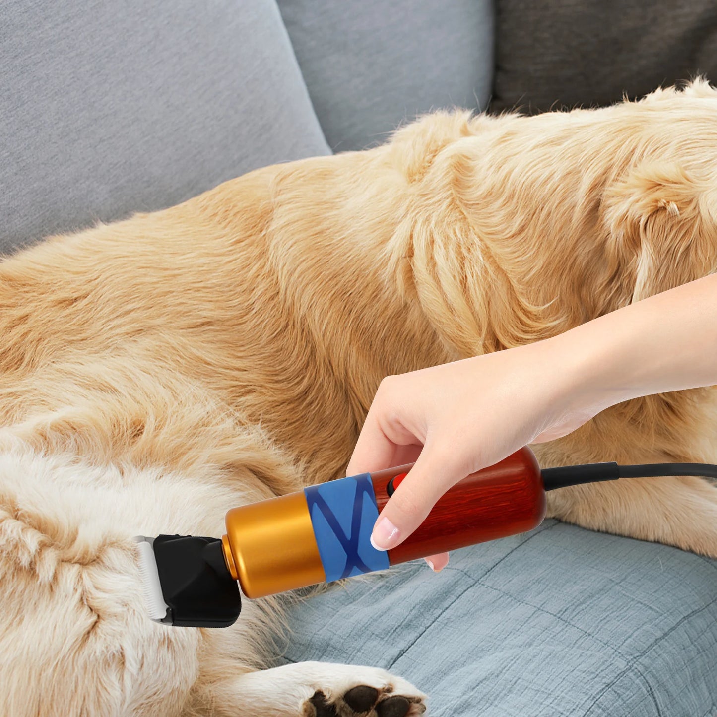 Pet Hair Clipper Low Noise High Efficiency Professional Electric GroomingEquipment