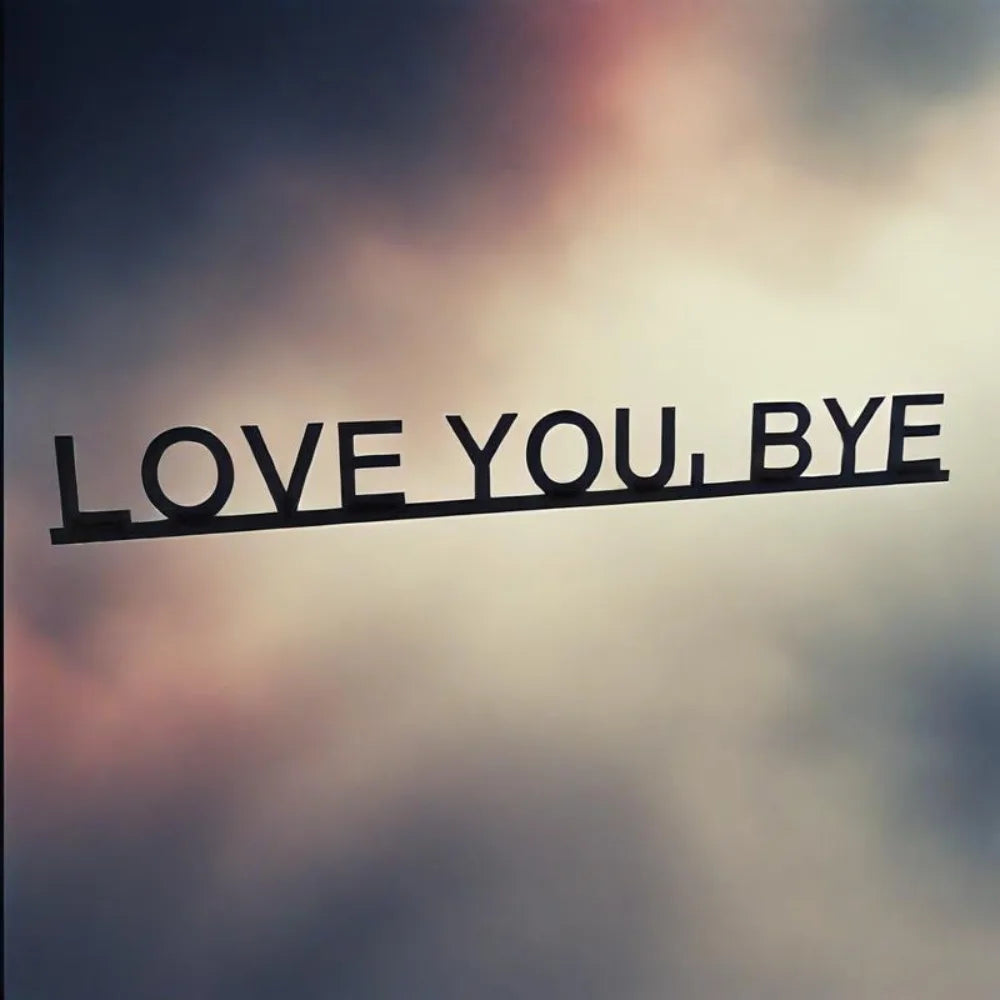 HELLOYOUNG Geometric Aluminum Wall Art Love You Bye Sign